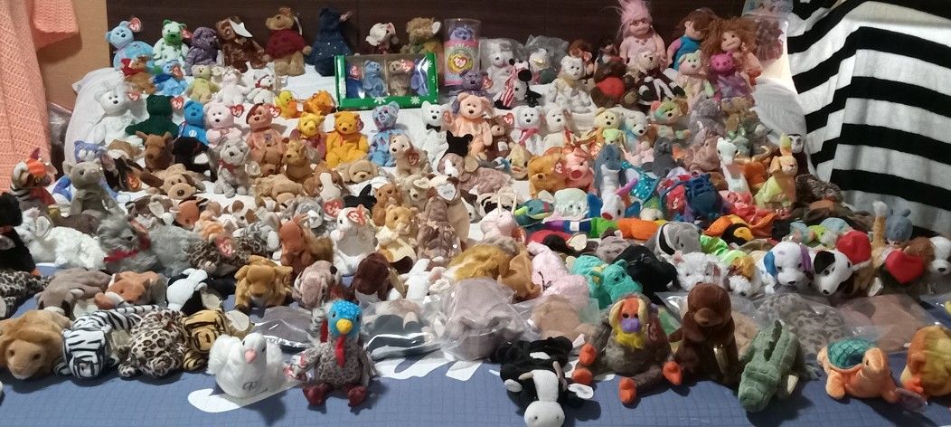 Discounted Collectible Beanie Babies Going Fast