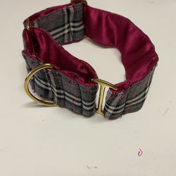 Dog Collar