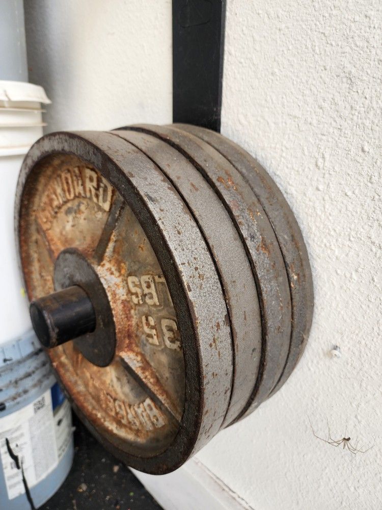 2 Pair 35lb Plates