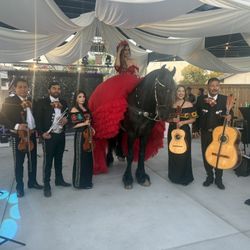 Mariachi KOBRA 