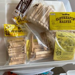Craft Wood Pins 
