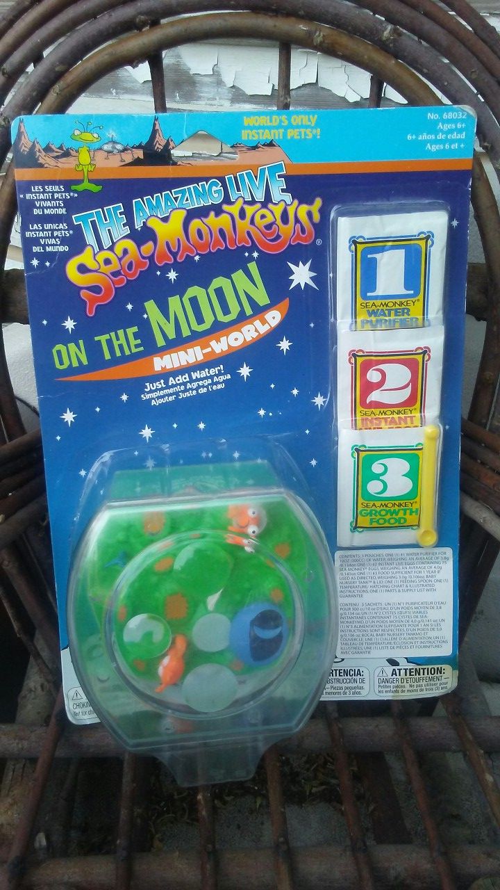 Sea Monkeys on the Moon