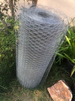 Galvanized Chicken Wire Mesh Roll