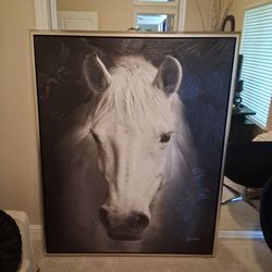 Wall Art Framed Horse picture