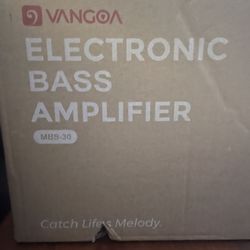 Vangoa 30W Amplifier