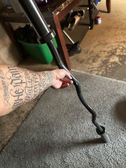 Olympic Curl Bar