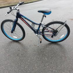 New LIV ENCHANT BIKE  KIDS 9-13