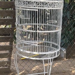 Bird Cage Needs Painting Doesn’t Have The Bottom Part 