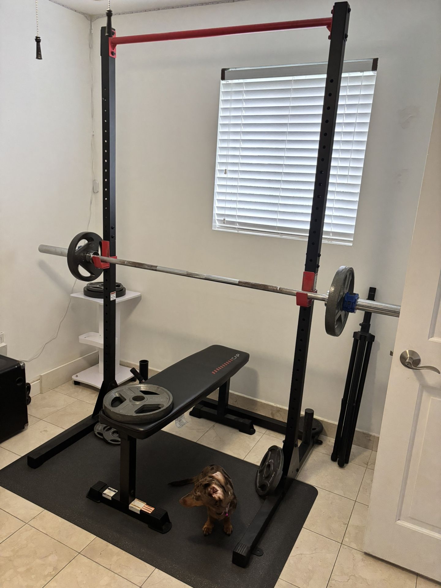 Bench Set Gym