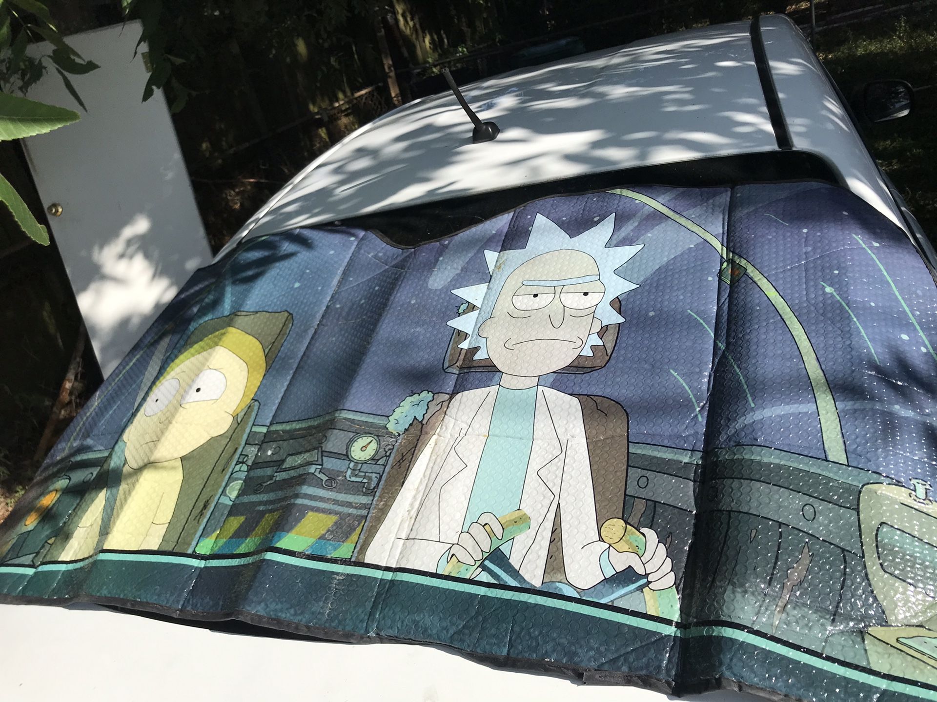 Rick and Morty Sunshade