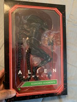 Alien Romulus Scorched Xenomorph