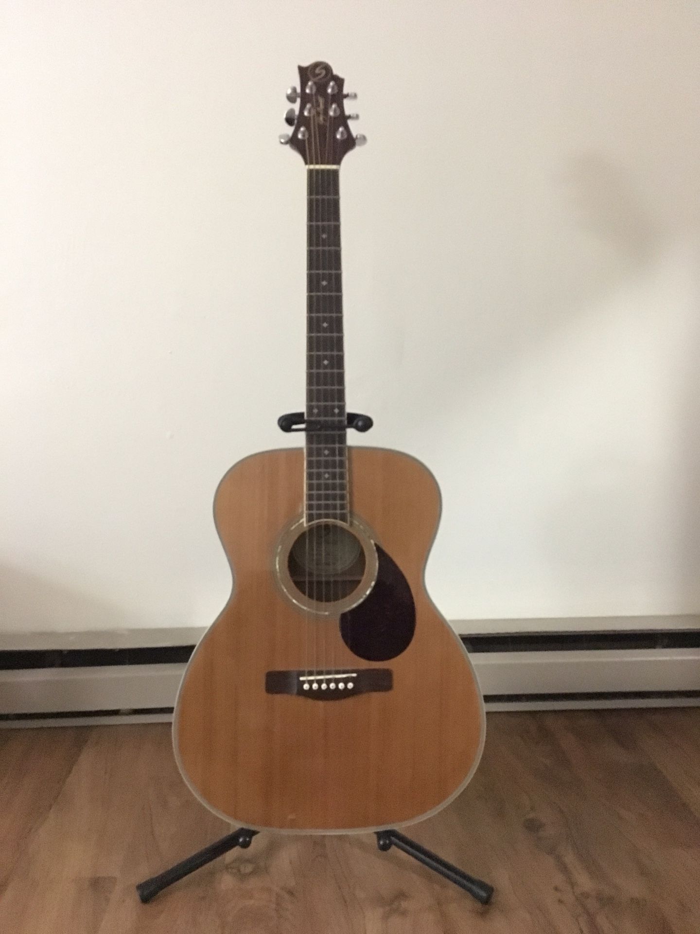 Greg Barrett Acoustic Guitar w/ Soft Travel Case, Extra Replacement Strings, Stand, and Digital Tuner
