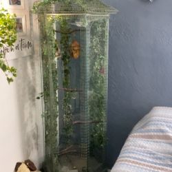 Bird/ Chameleon Cage