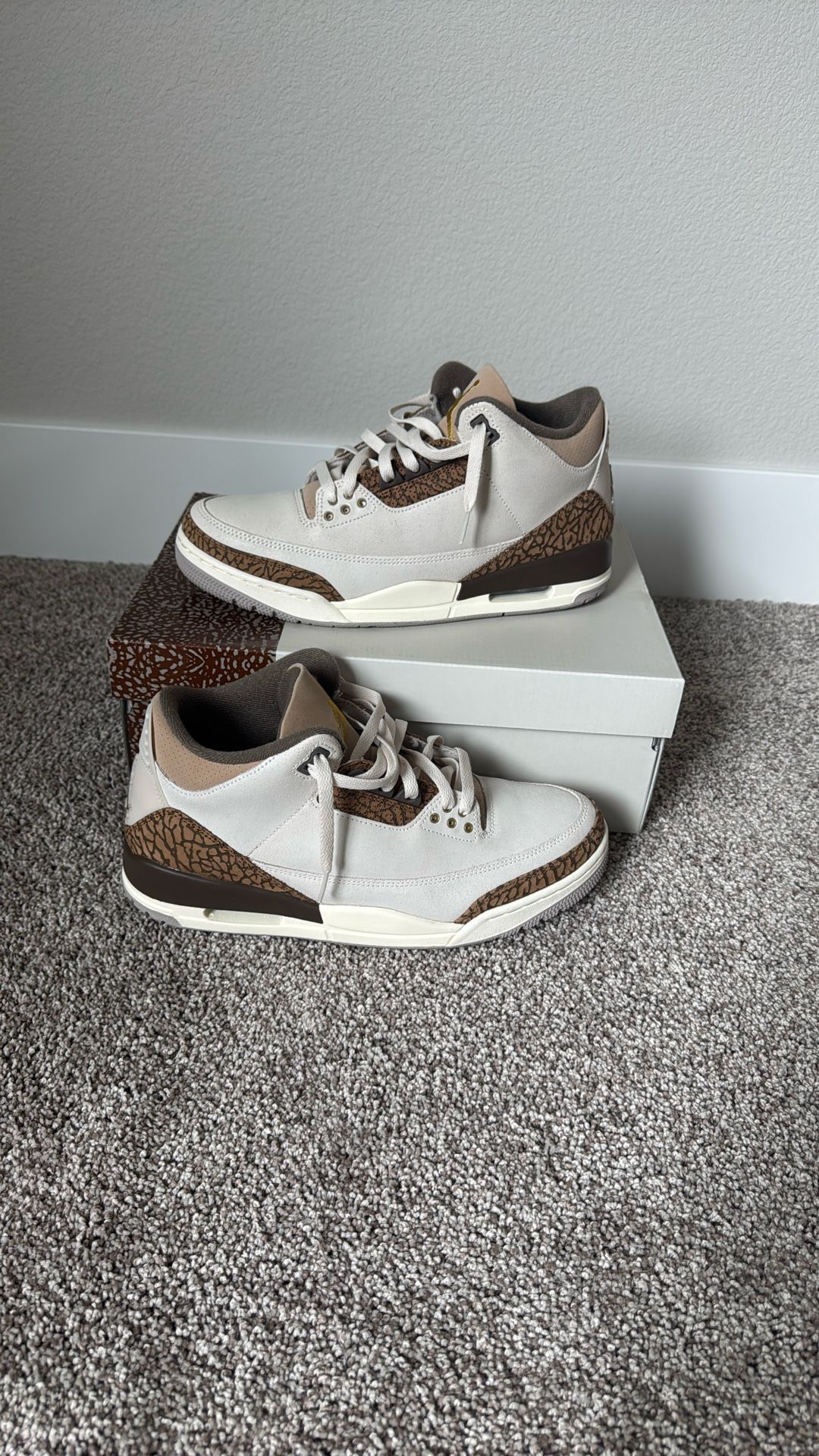 Jordan 3
