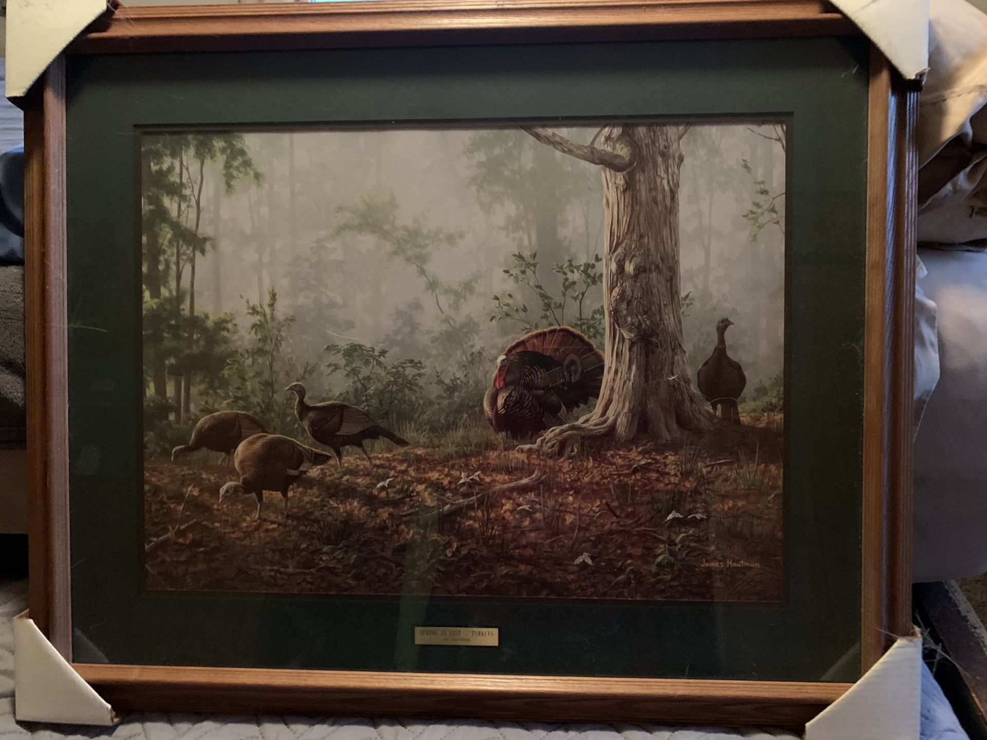 Spring at Last-Turkeys Print by Jim Hautman