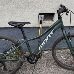 Youth mountain bikes