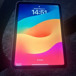 iPad 10th Generation 256 gb