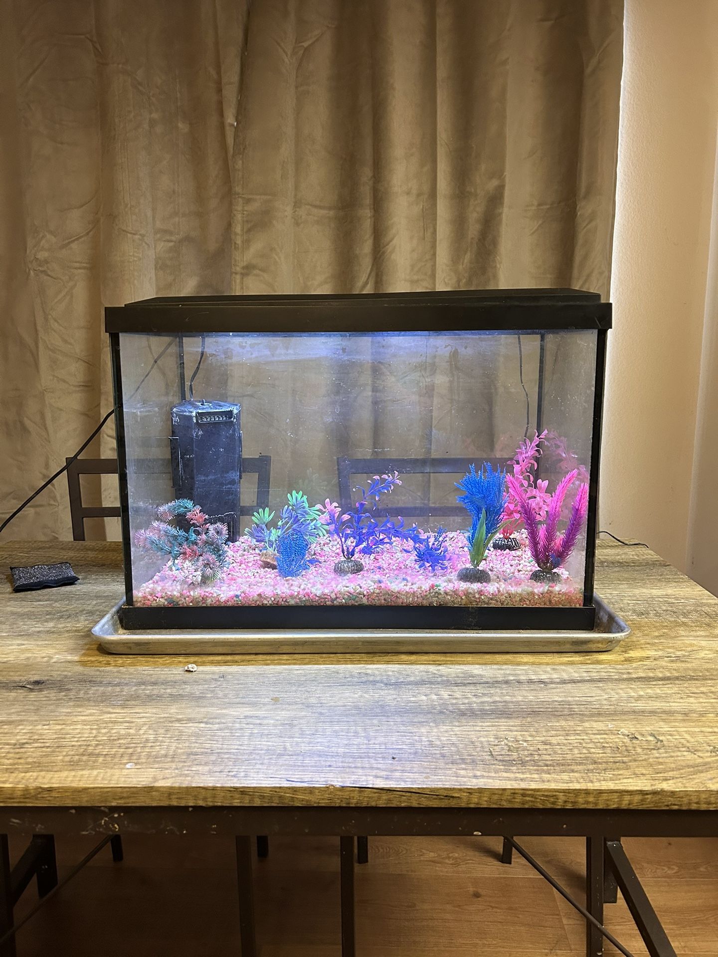 Aquarium/fish Tank