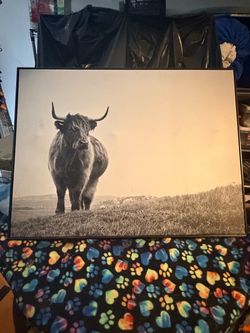 Canvas wall art