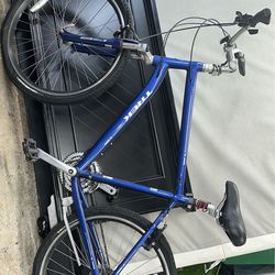 Trek bike great for tall people