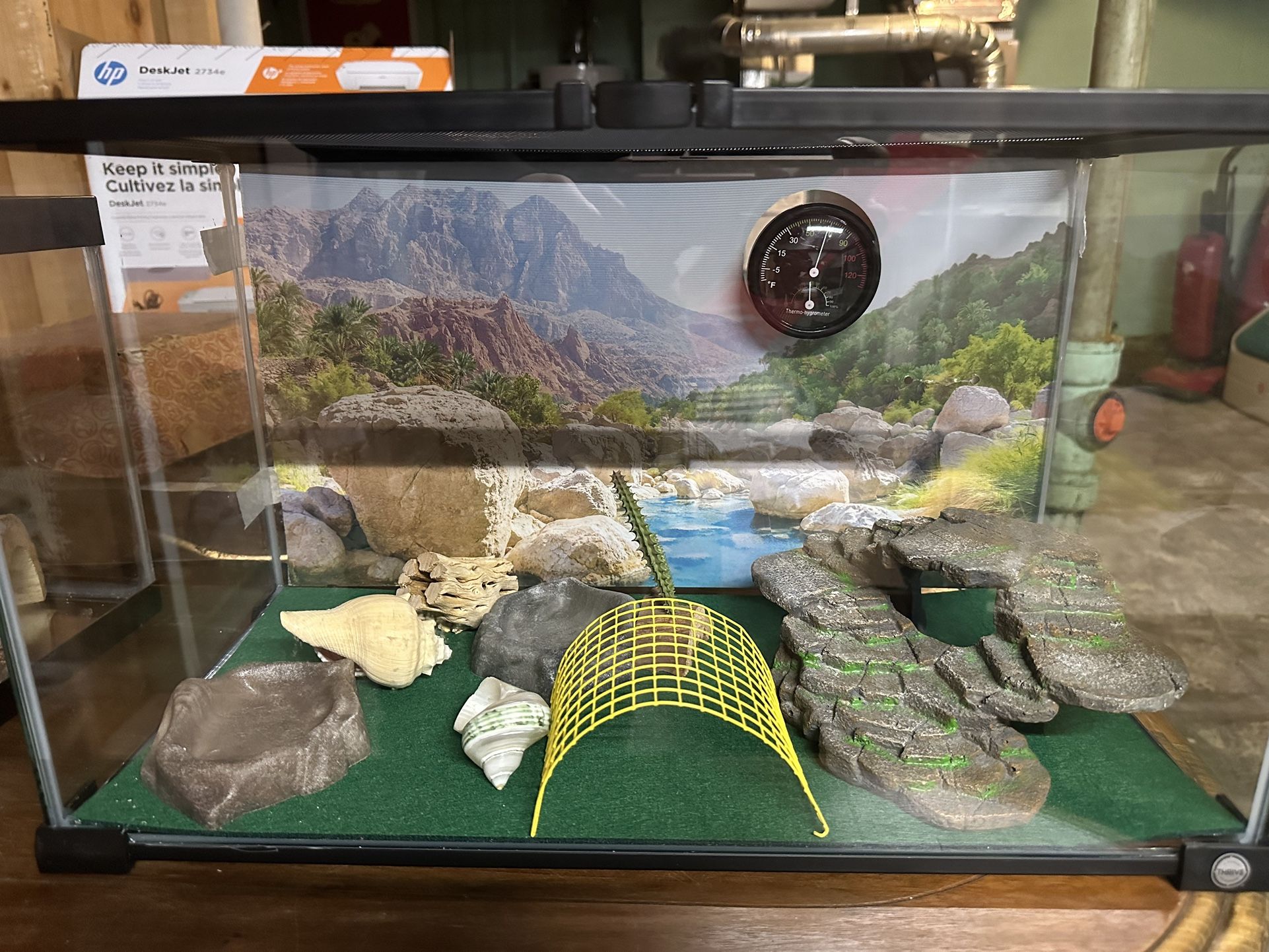 Thrive Terrarium