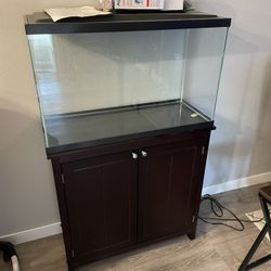Fish Tank 29 Gallon 