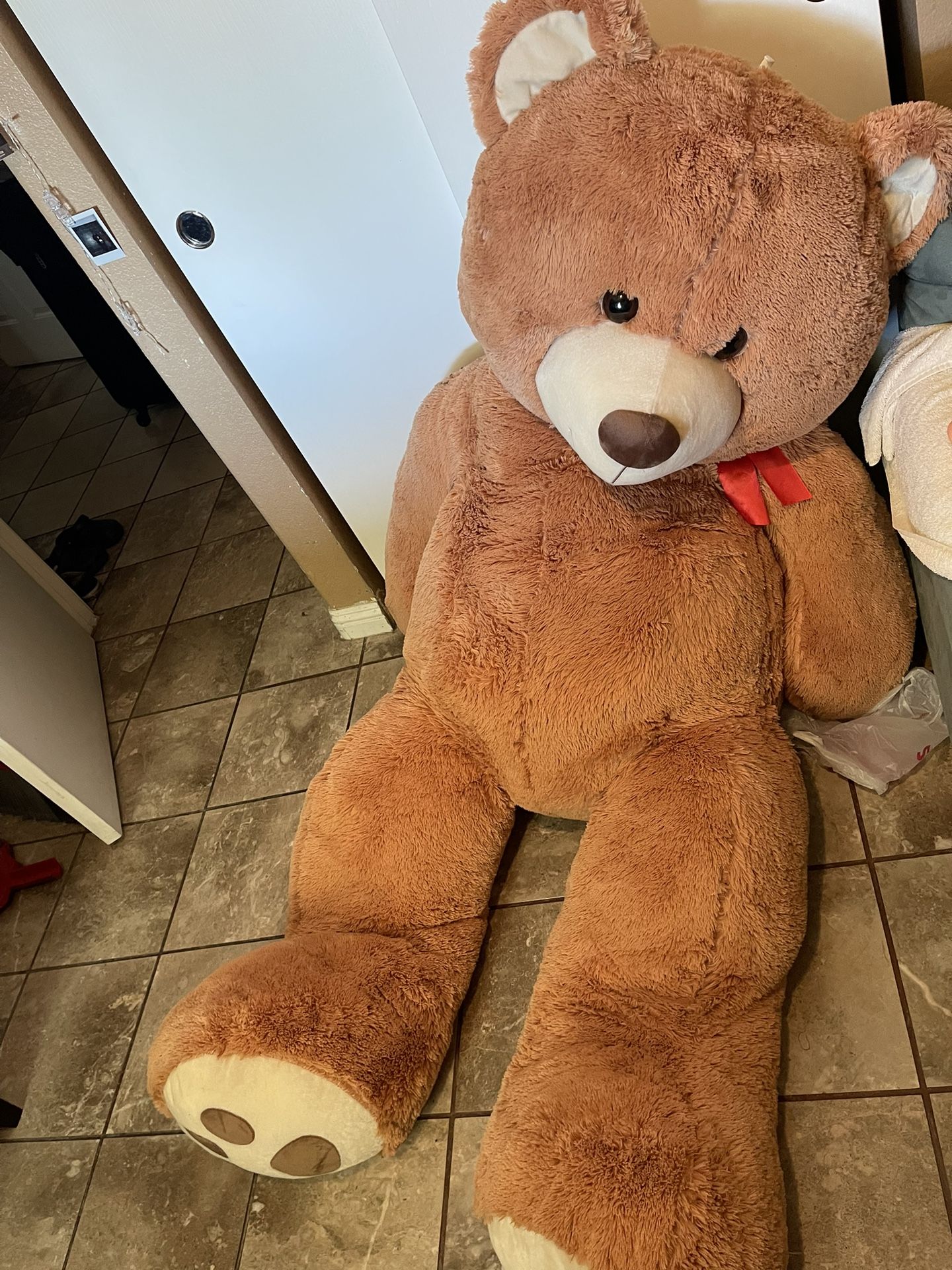 6ft Costco Bear