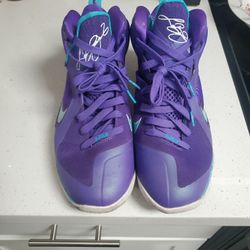 Lebron 9 Summit Lake Hornets