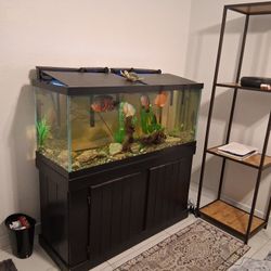 75 Gallon Aquarium 