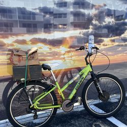 Boss e-bike conversion