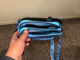 Disney  purse