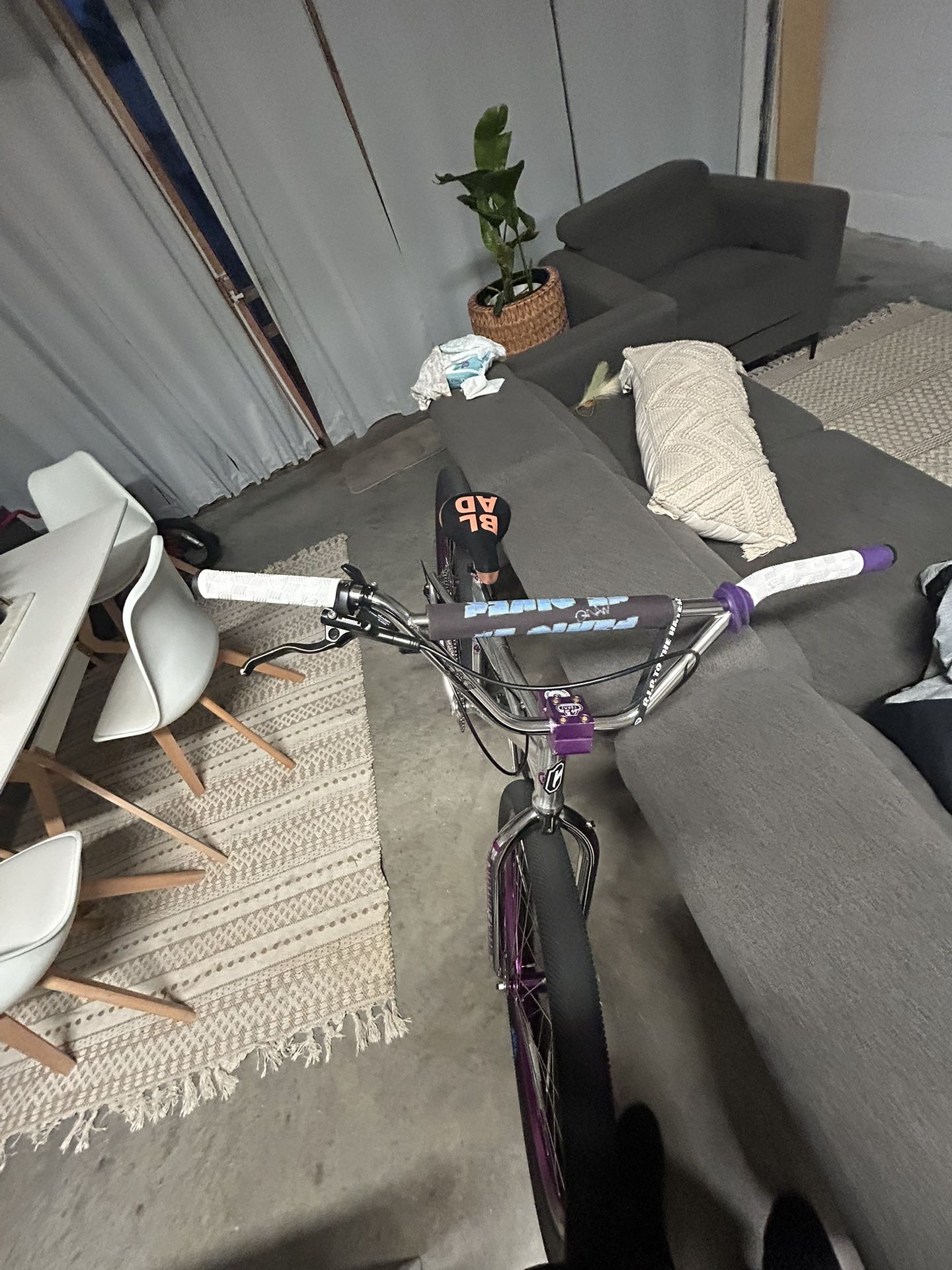 SE Bike killer squad