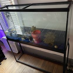 60 Gallon Tank 