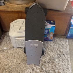 Electric skateboard
