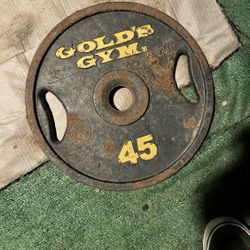Weight plate 45lbs 