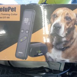 DeluPet Dog Training Collar Model:DT-66