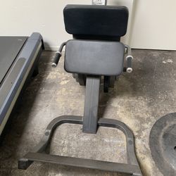 Cybex plate loaded angled calf