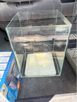 5 gallon tall tank