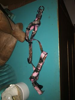 Dog collar