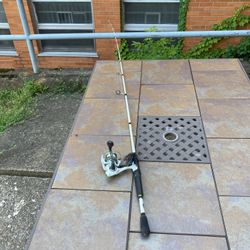 Mach I Speed Stick Fishing Pole