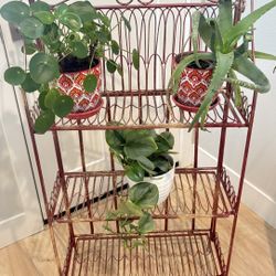 Vintage Metal foldable plant stand ( plants not included)