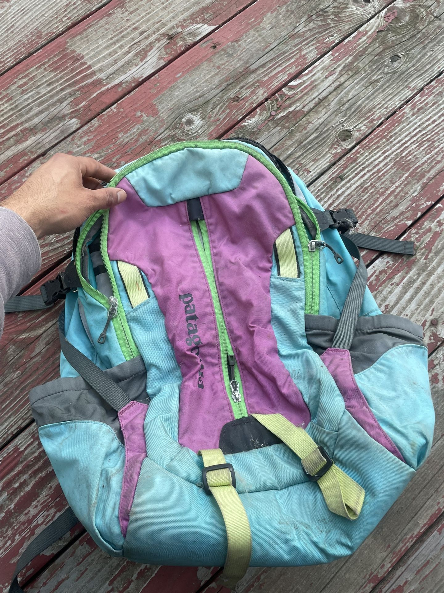 Patagonia Backpack