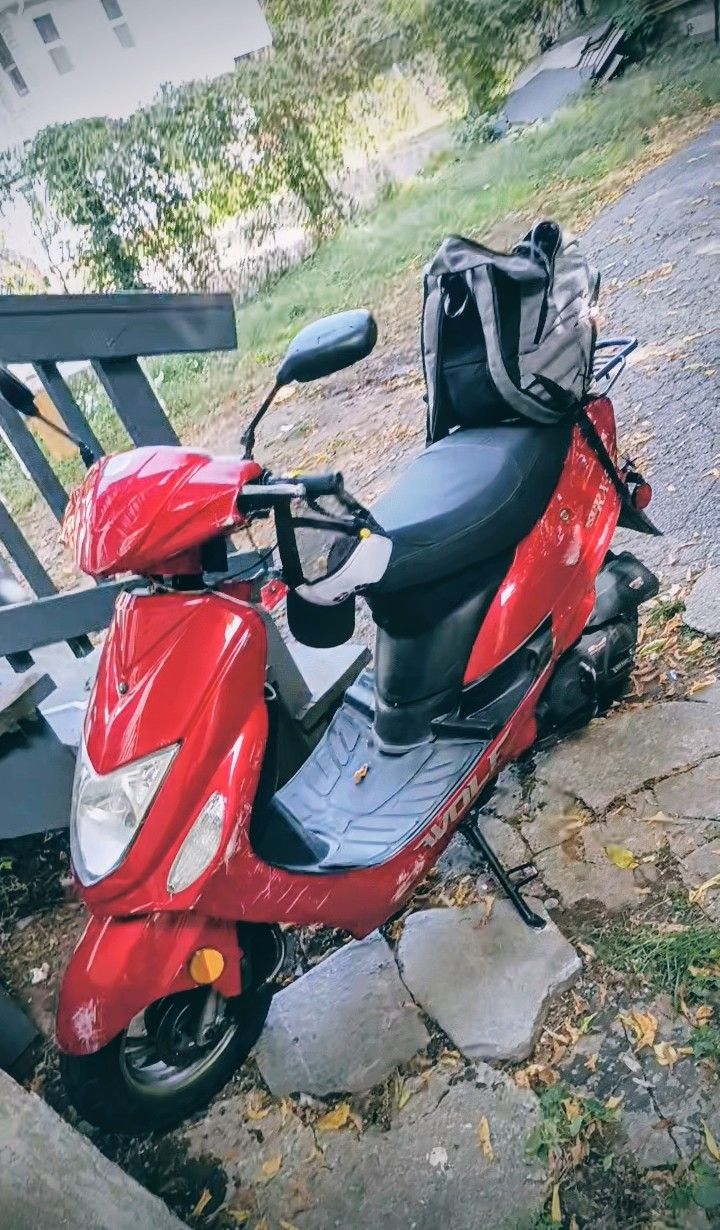 2021 Wolf 50cc Moped