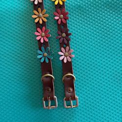 Dog Collars 