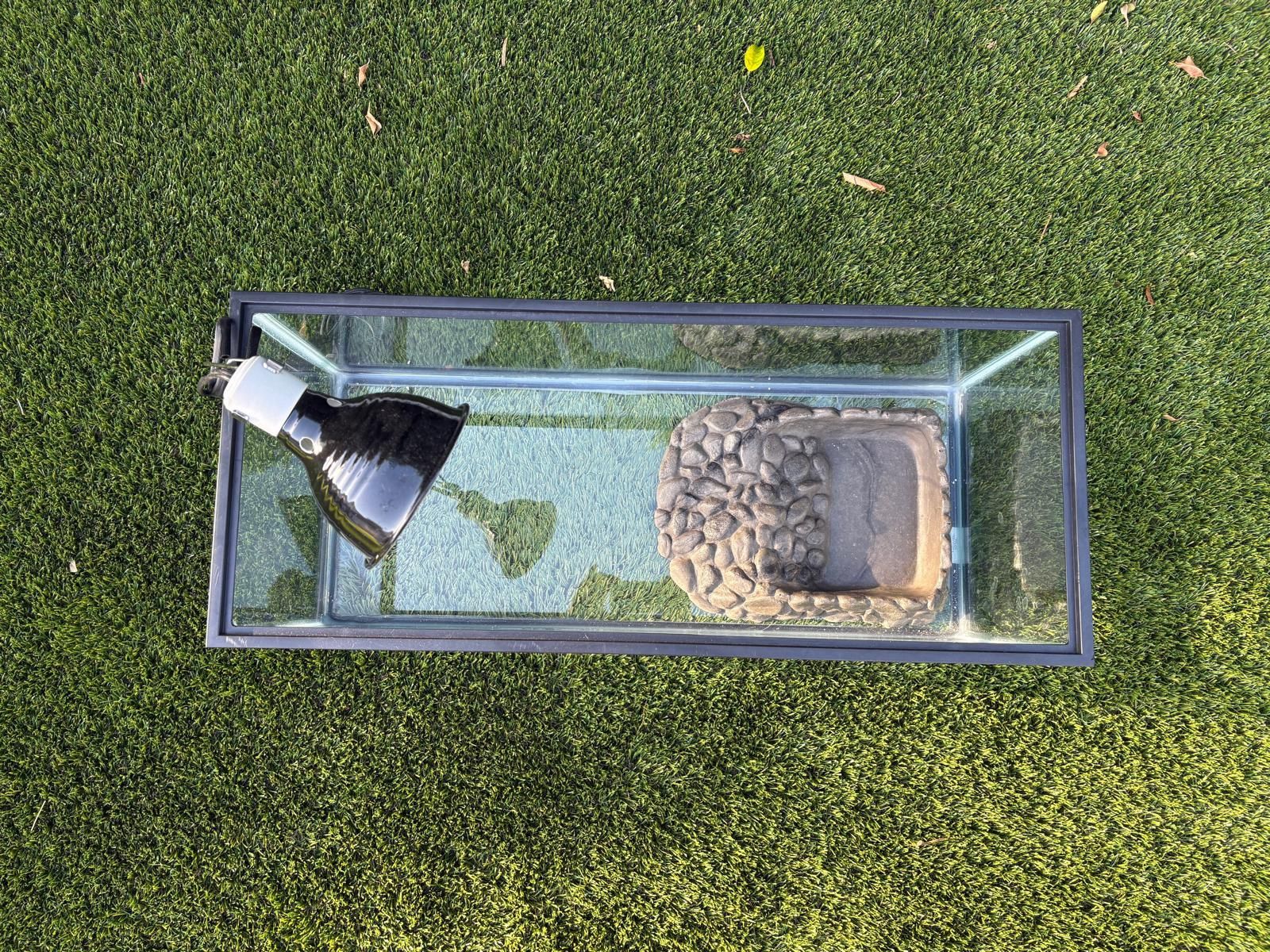 Reptilian Tank & Lighting/decor Set, PetCo Terrarium Throve Ope Front Desert Reptile