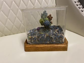 Fish aquarium
