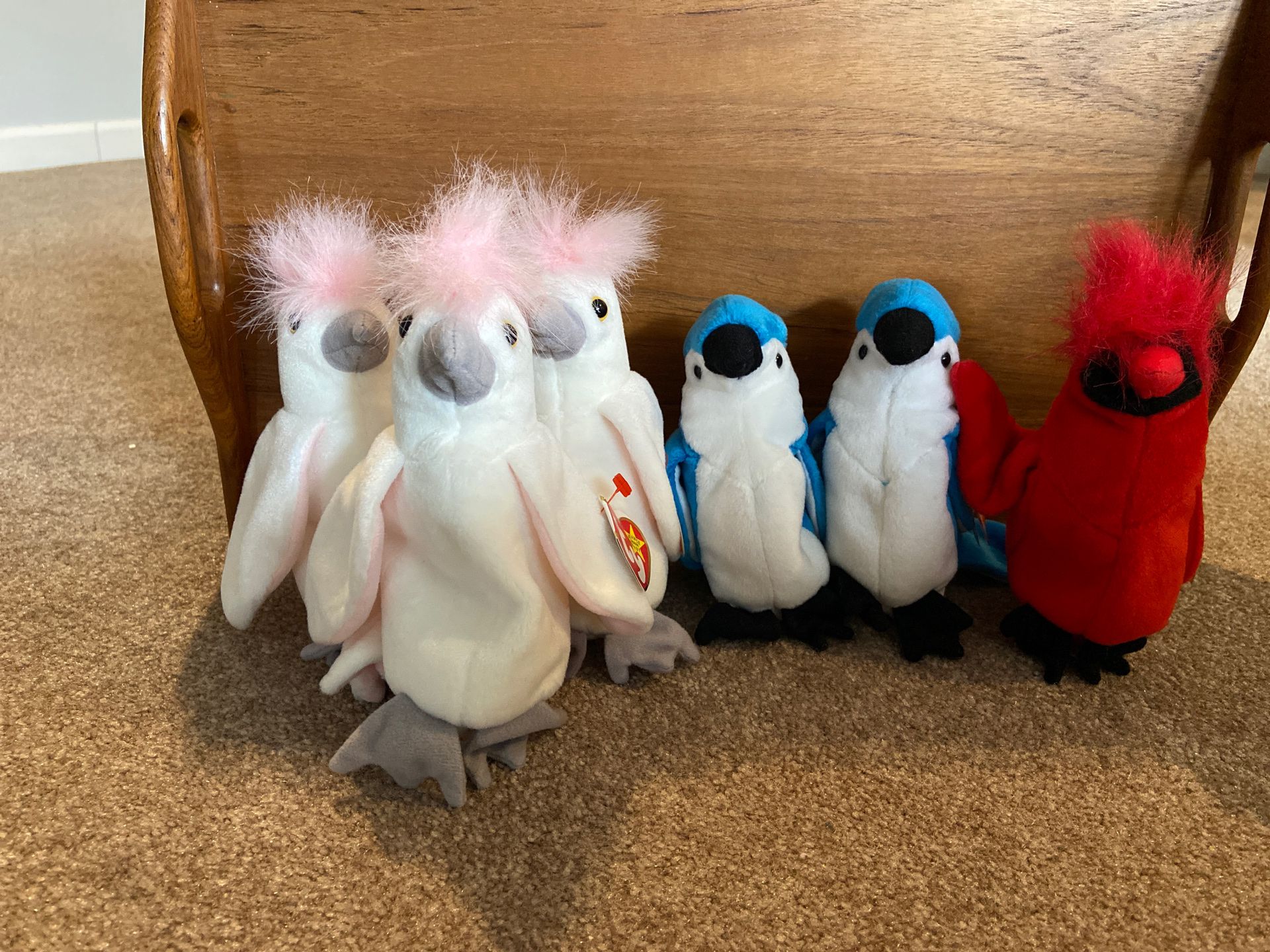 Collection of bird beanie babies