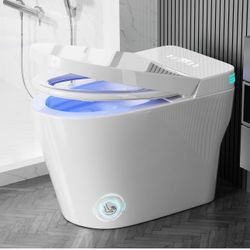 Smart Toilet
