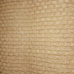 INDOOR/OUTDOOR WEAVE LOOK RUG 8BY10 ONLY 25 FIRM NO PET OR SMOKE NICE RUG....