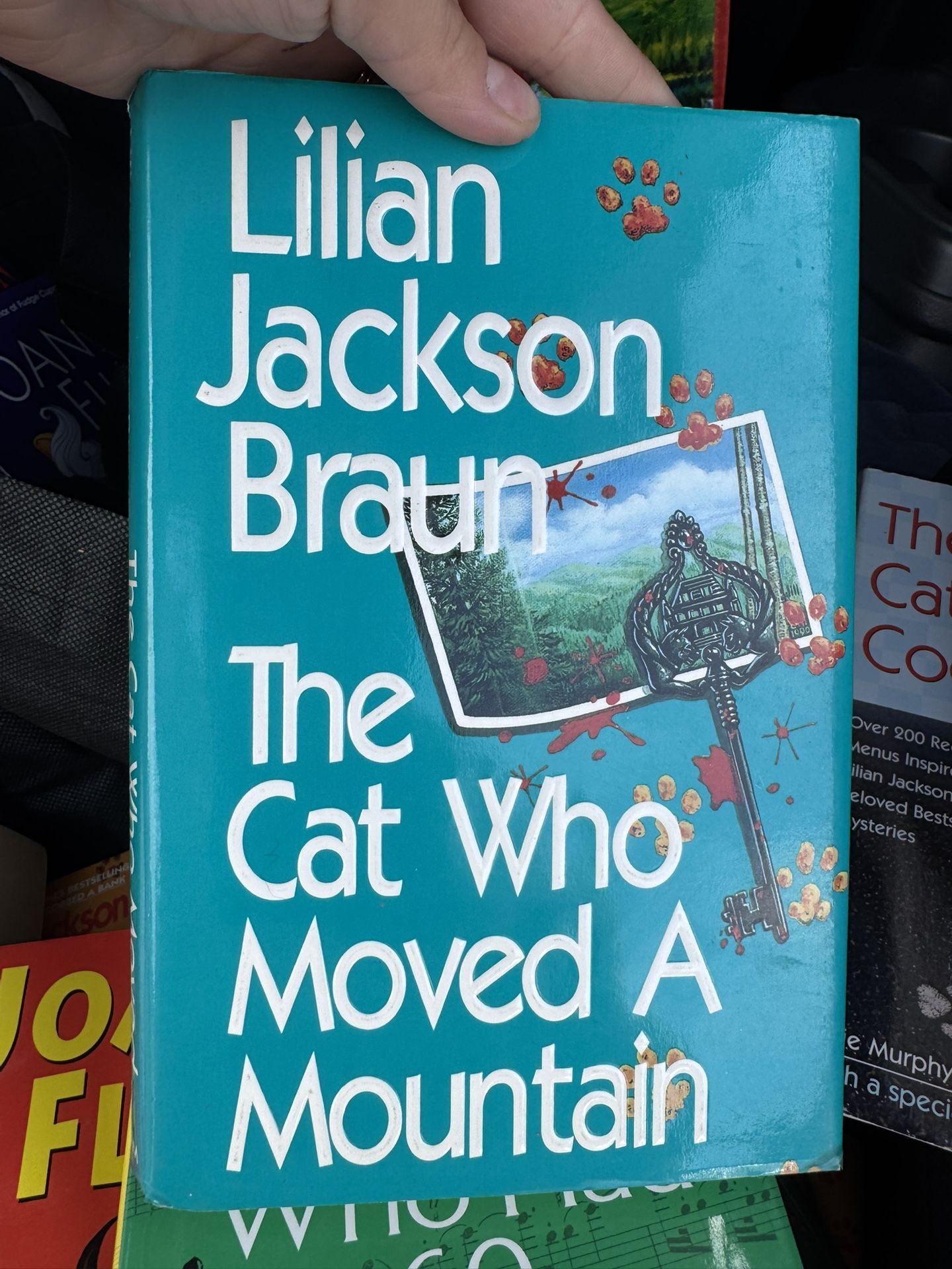 The Cat That Moved A Mountain